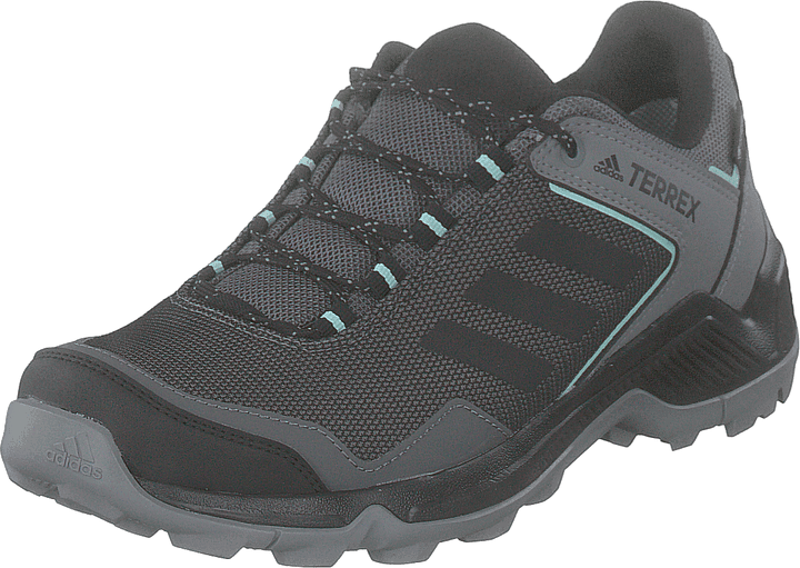Terrex Entry Hiker Gtx W Grefou/cblack/clemin