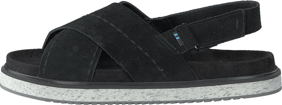 Daim noir noir