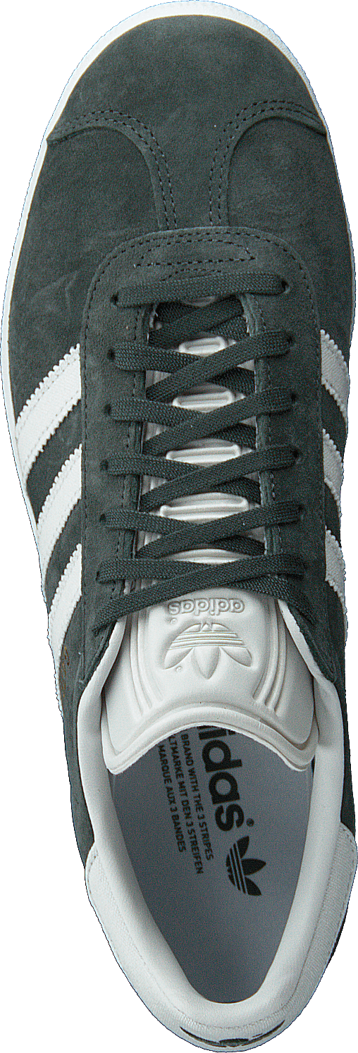 Gazelle Legivy/crywht/ftwwht