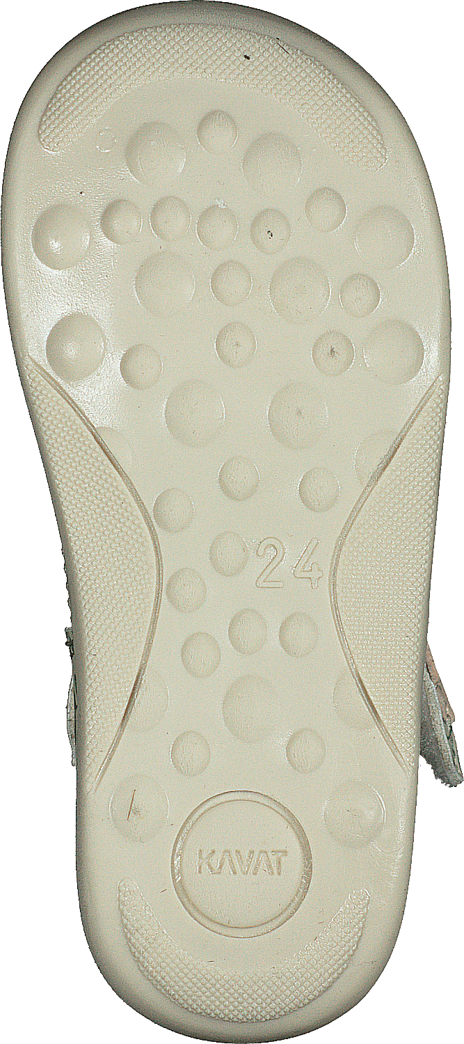 Ängskär Xc Blaue Blume