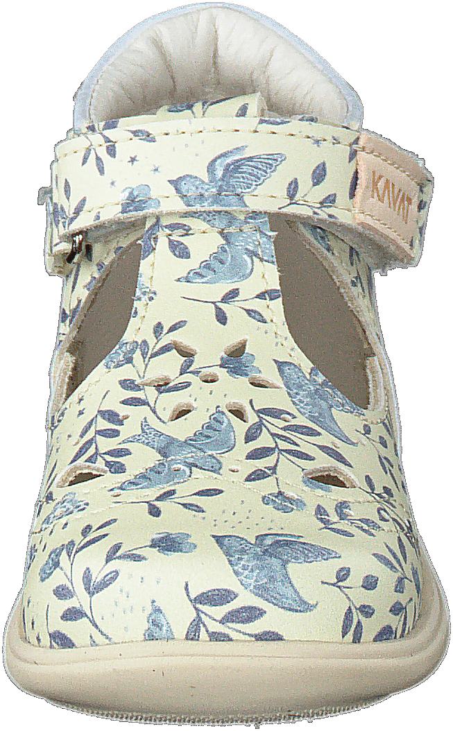 Ängskär Xc Blaue Blume