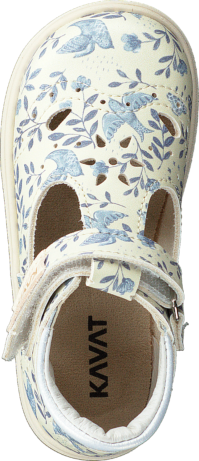 Ängskär Xc Blaue Blume