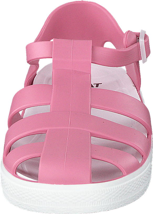 Sand Wp Strawberry Rose