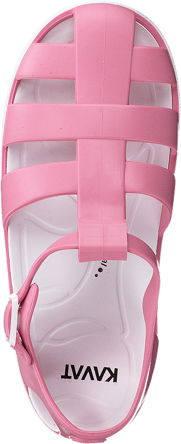 Sand Wp Strawberry Rose