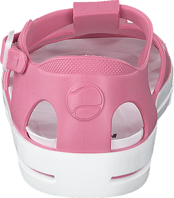 Sand Wp Strawberry Rose