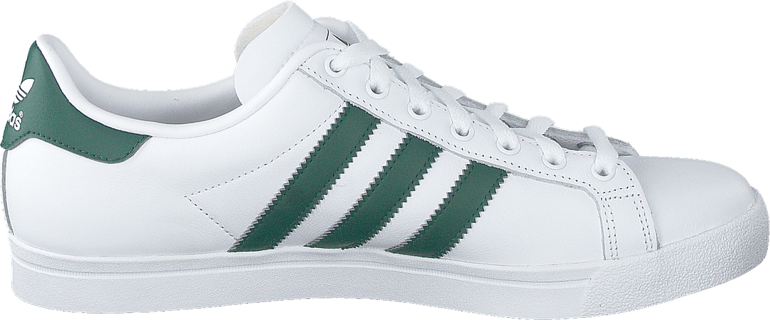 Stella della costa Ftwrwhite/collegiategreen/wht