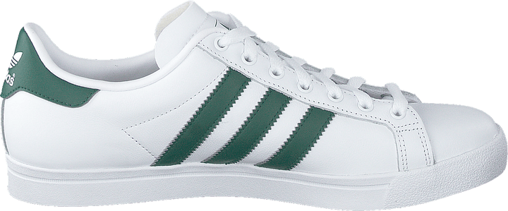 Stella della costa Ftwrwhite/collegiategreen/wht