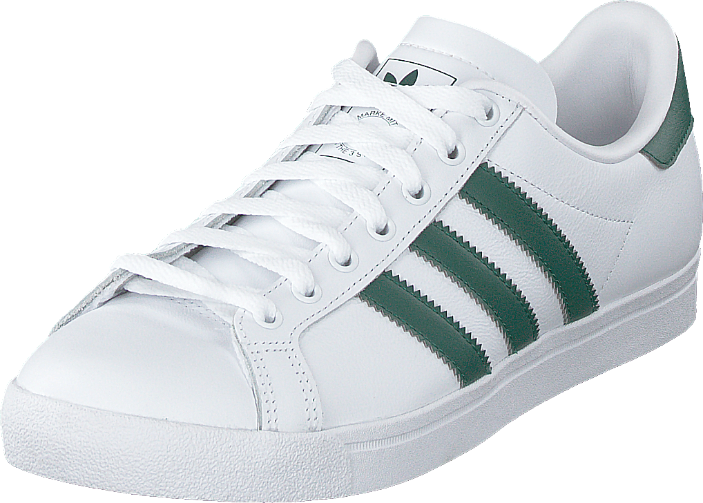 Stella della costa Ftwrwhite/collegiategreen/wht