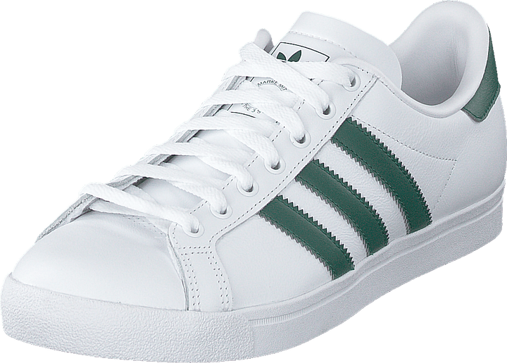Stella della costa Ftwrwhite/collegiategreen/wht