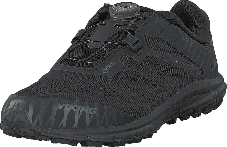 Apex Ii Gore-tex® Musta