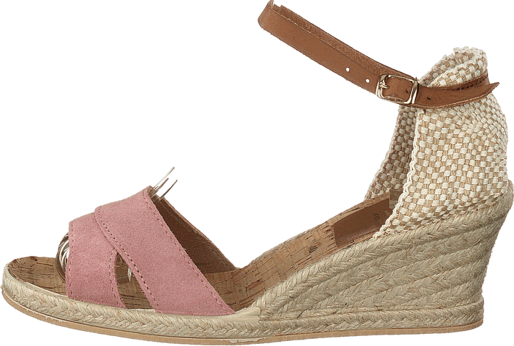 6533-32 Rosa