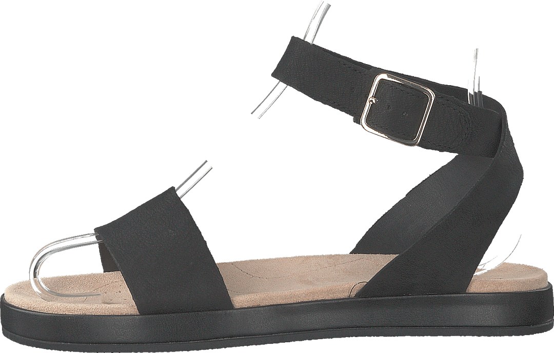 Botanic Ivy Black Leather