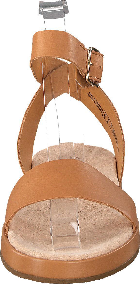 Lierre botanique Tan clair