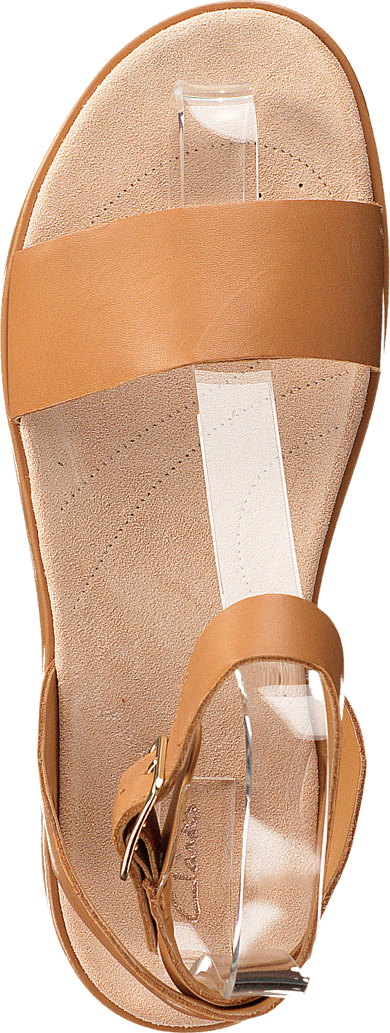 Lierre botanique Tan clair