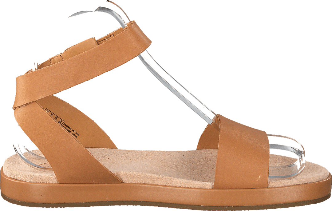 Lierre botanique Tan clair