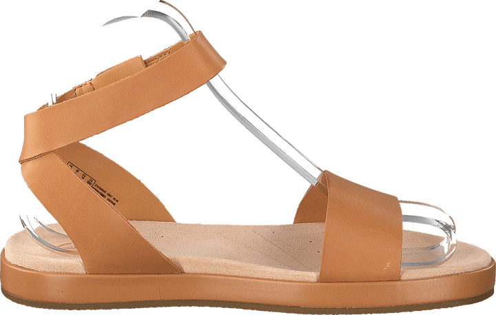 Lierre botanique Tan clair