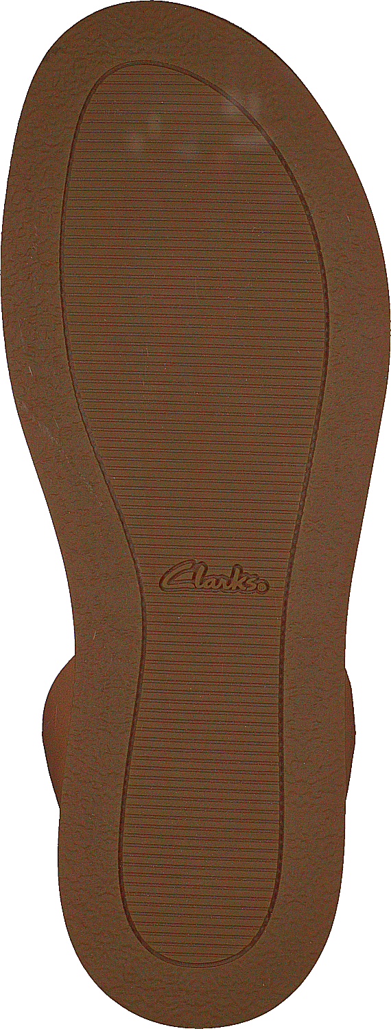 Lierre botanique Tan clair