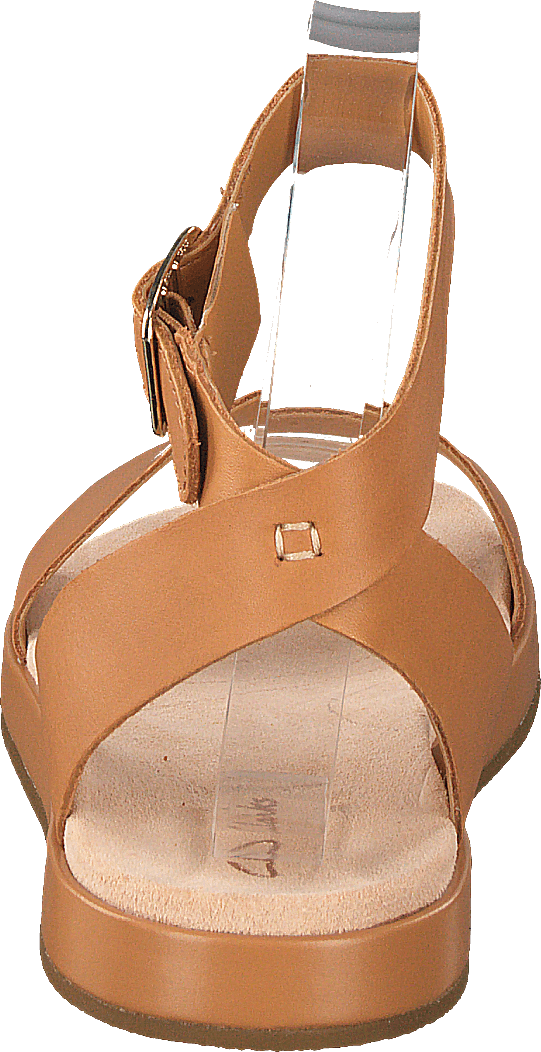 Lierre botanique Tan clair