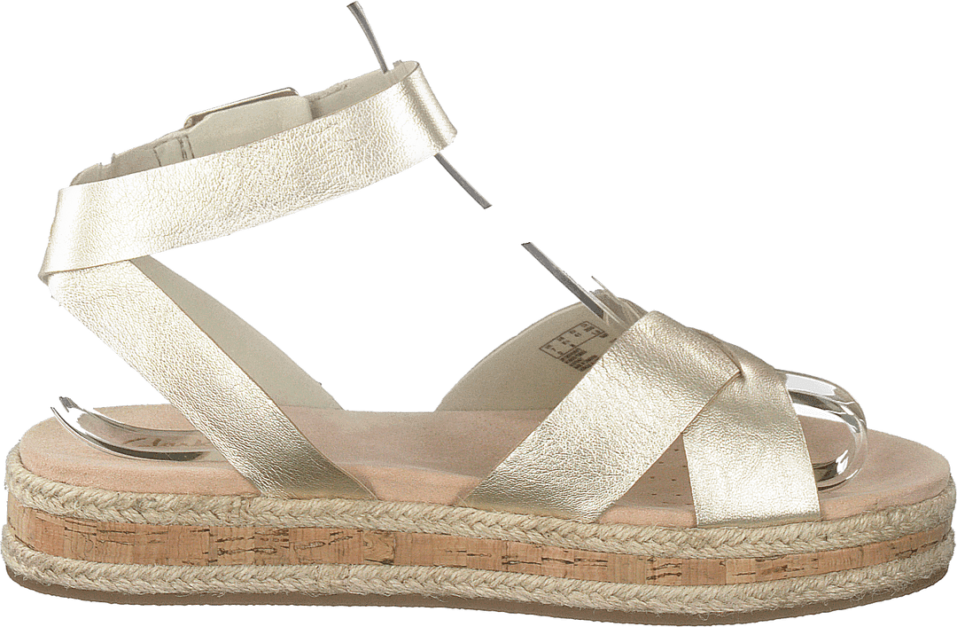 Champagne Botanique au Coquelicot