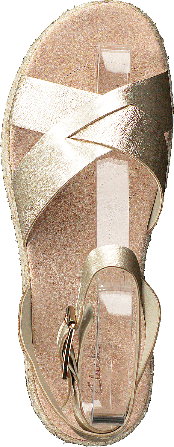 Champagne Botanique au Coquelicot