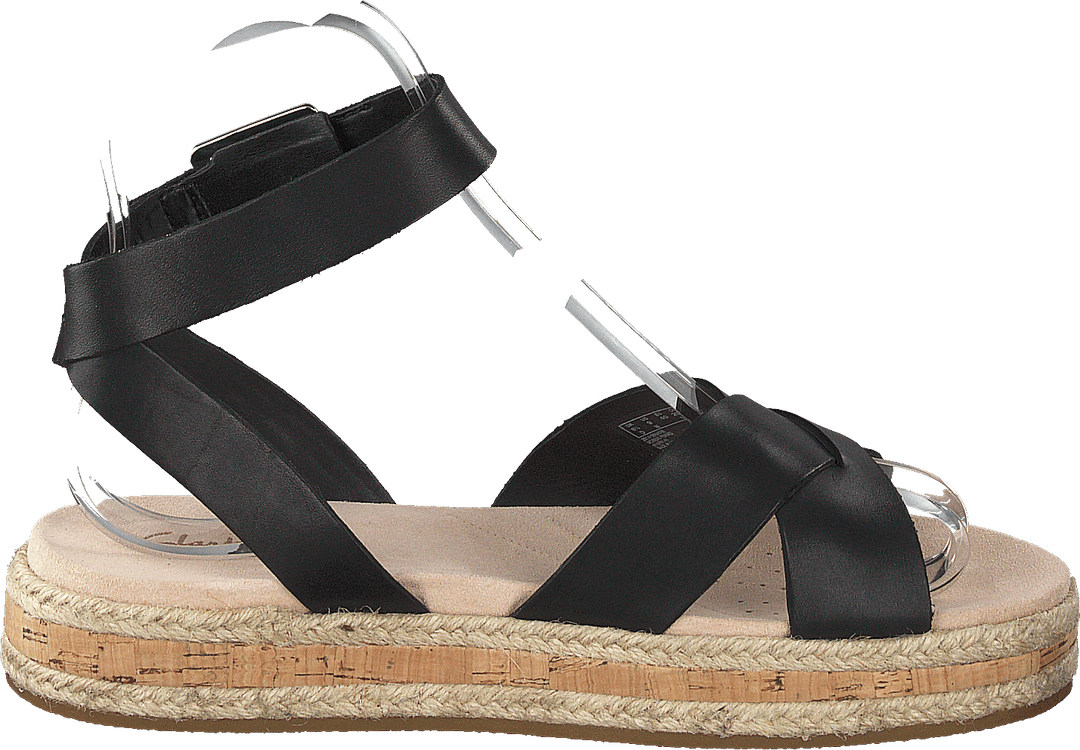 Cuir noir coquelicot botanique