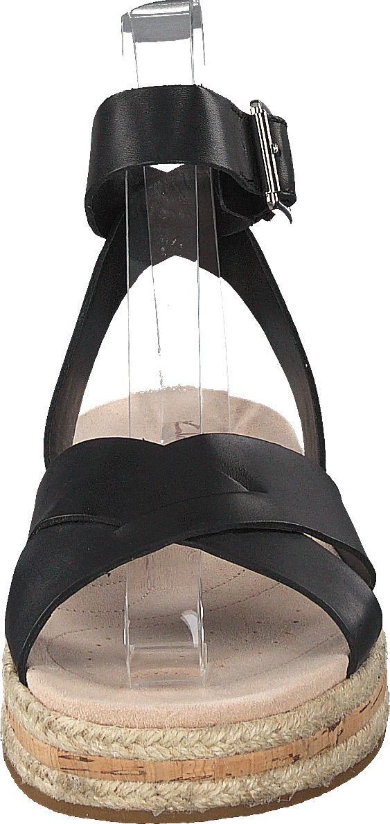 Cuir noir coquelicot botanique