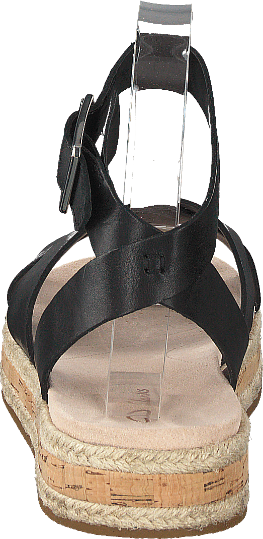 Cuir noir coquelicot botanique