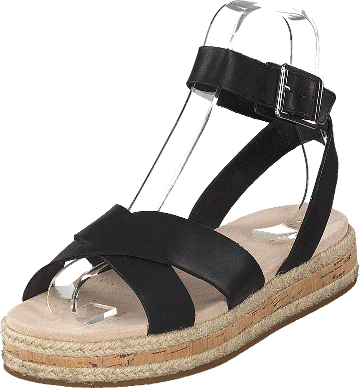 Cuir noir coquelicot botanique