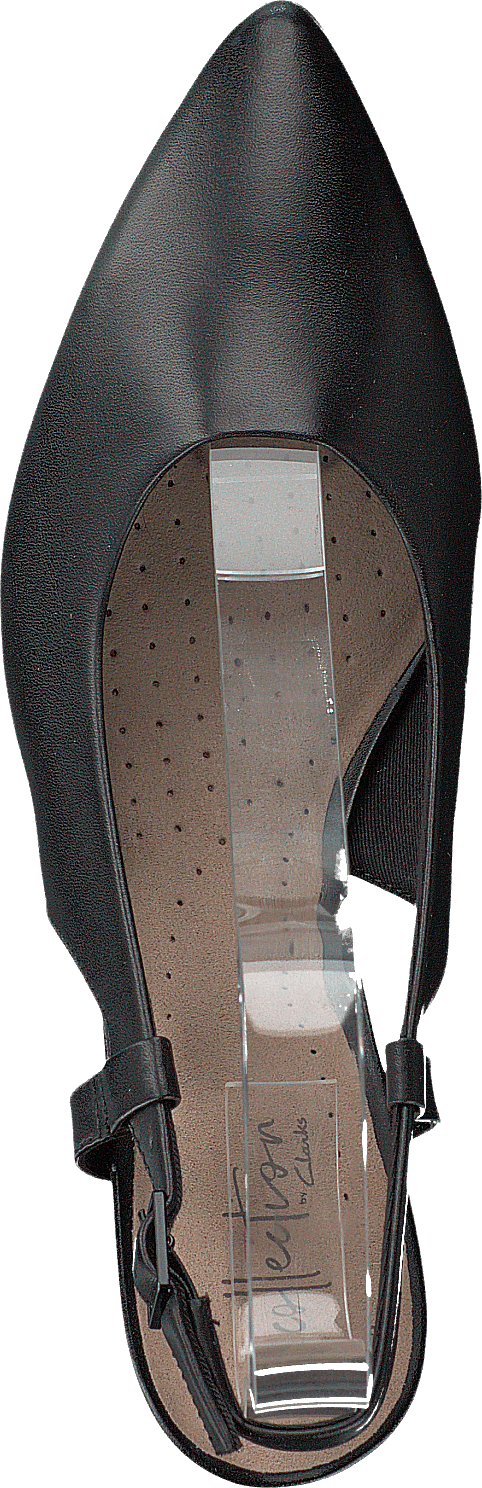 Linvale Loop Black Leather