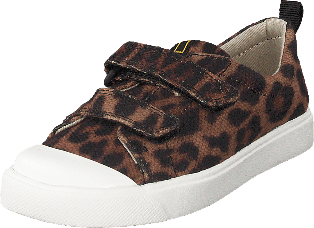City Geo T Brown Cocmbi