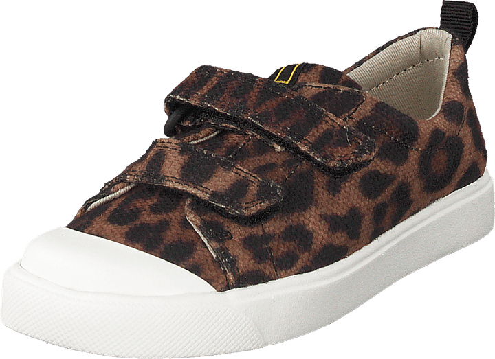 City Geo T Brown Cocmbi
