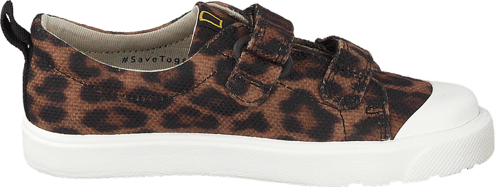 City Geo T Brown Cocmbi