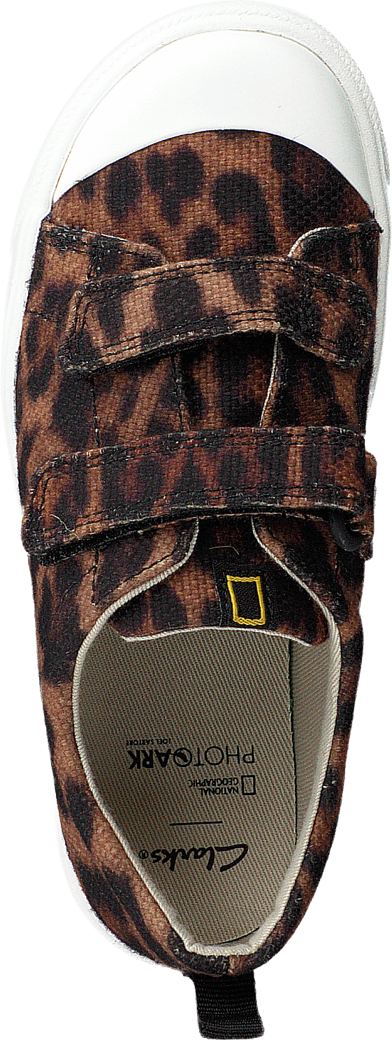 City Geo T Brown Cocmbi