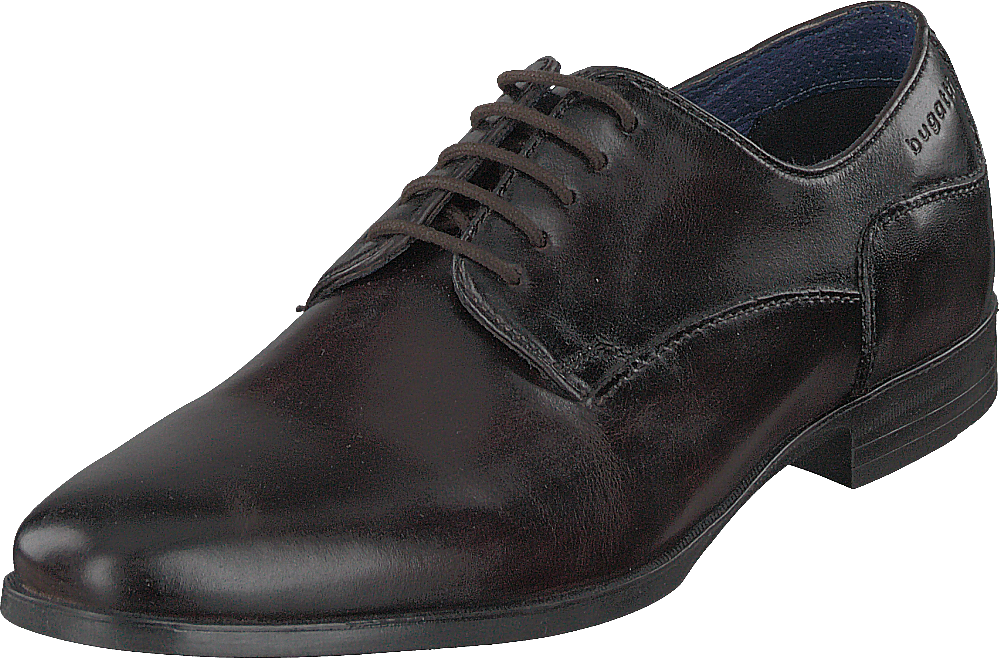 Zenobio Dark Brown
