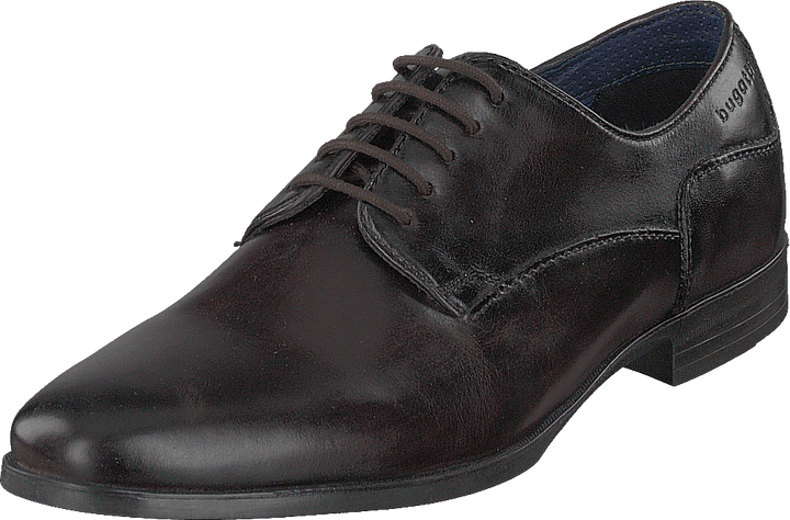 Zenobio Dark Brown