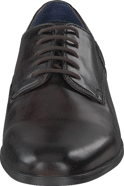 Zenobio Dark Brown