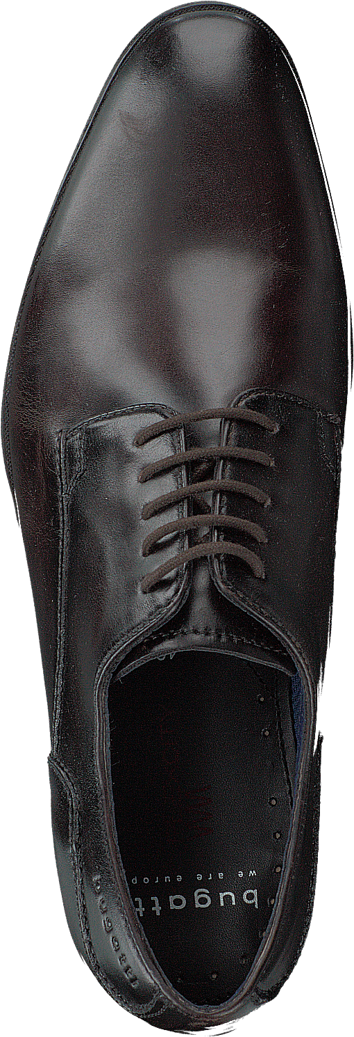 Zenobio Dark Brown