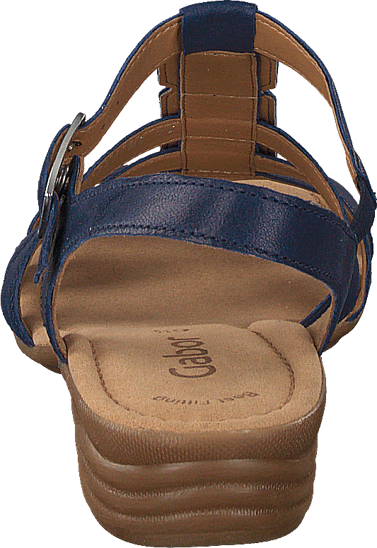 24.558-50 Bluette