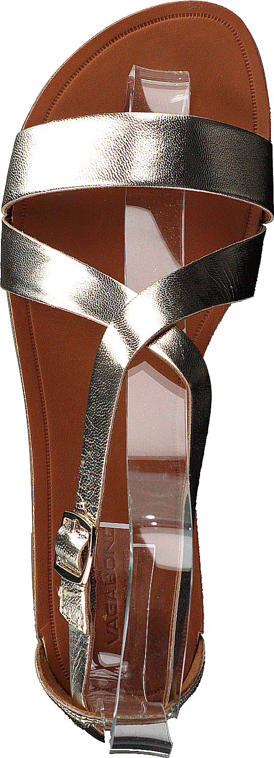 Tia 4531-083-81 Gold