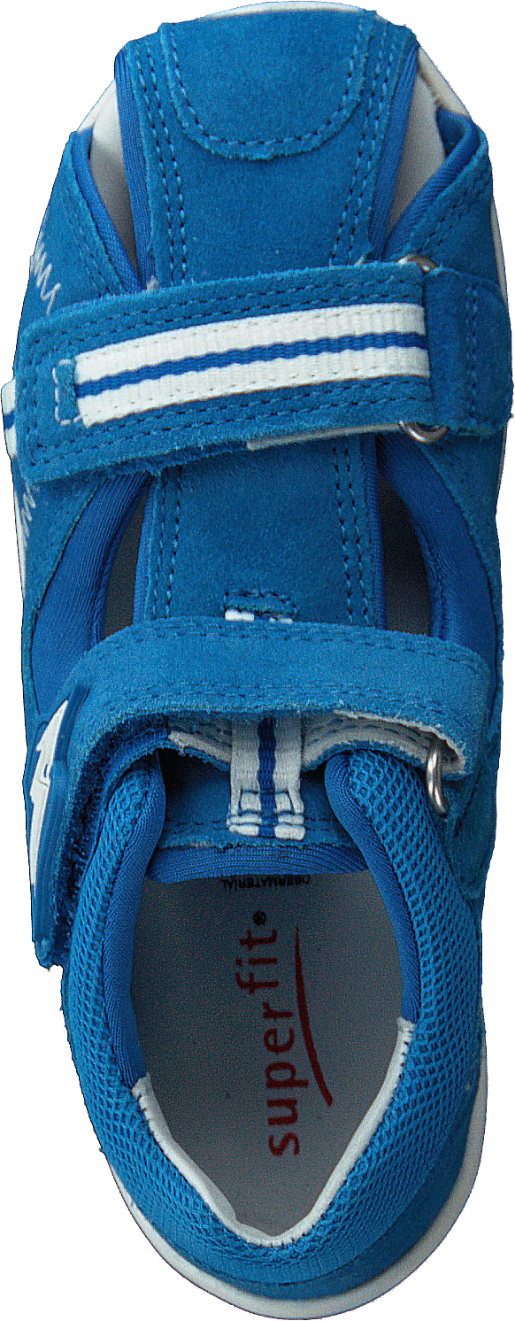 Freddy Blue