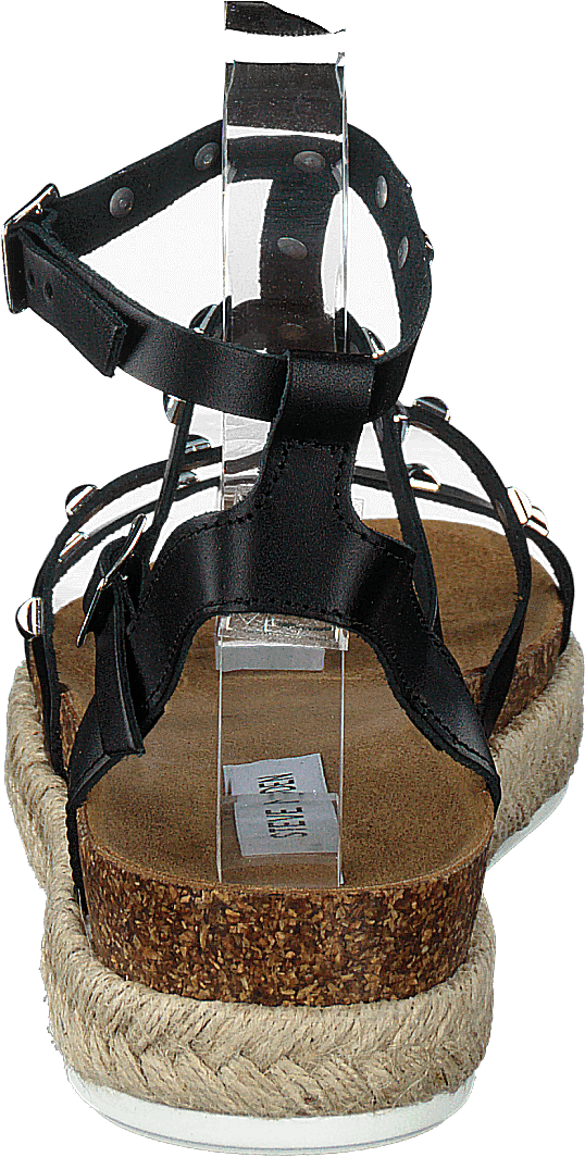 Array Black