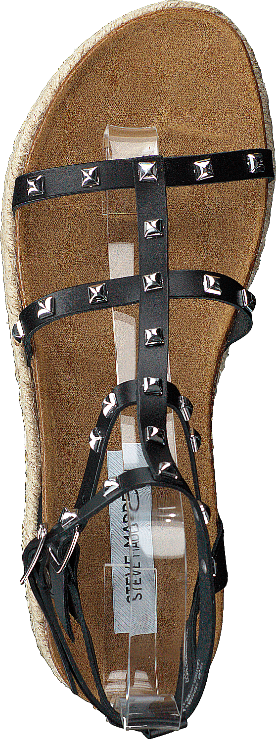 Array Black