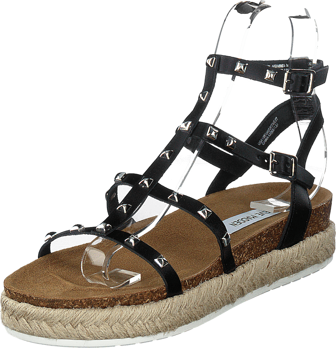 Array Black