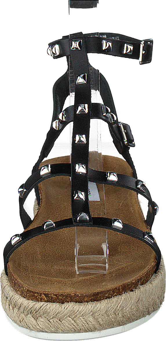 Array Black