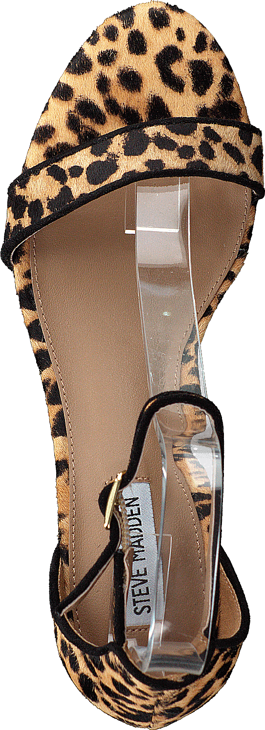 Irenee-l Leopard