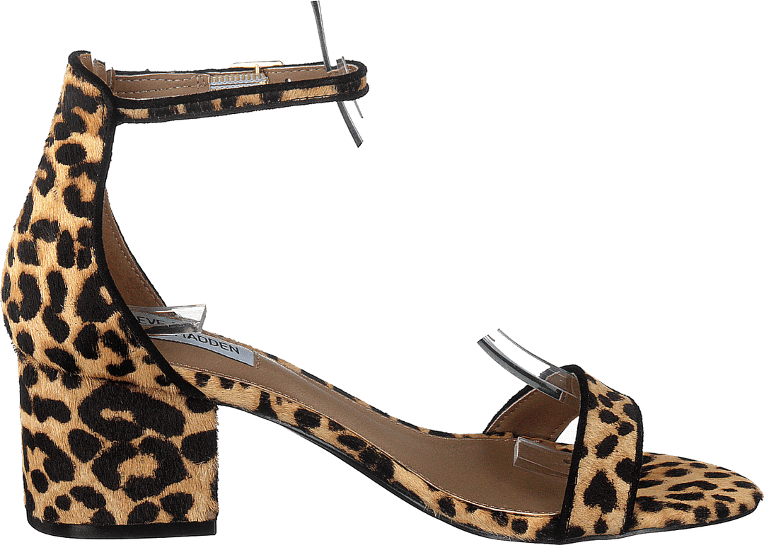 Irenee-l Leopard