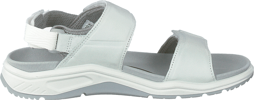 X-trincic Blanc