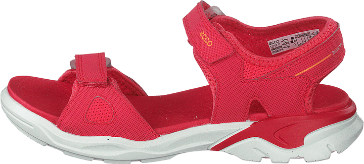Biom Raft Teaberry