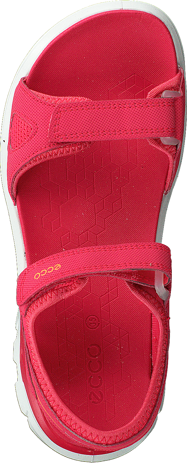Biom Raft Teaberry