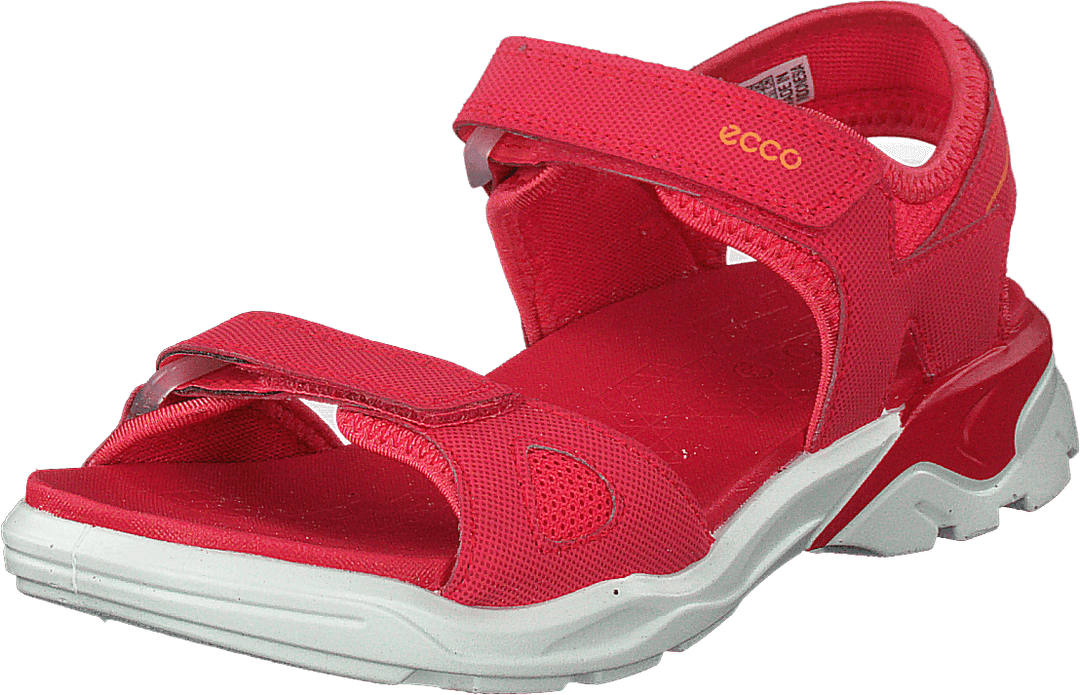 Biom Raft Teaberry